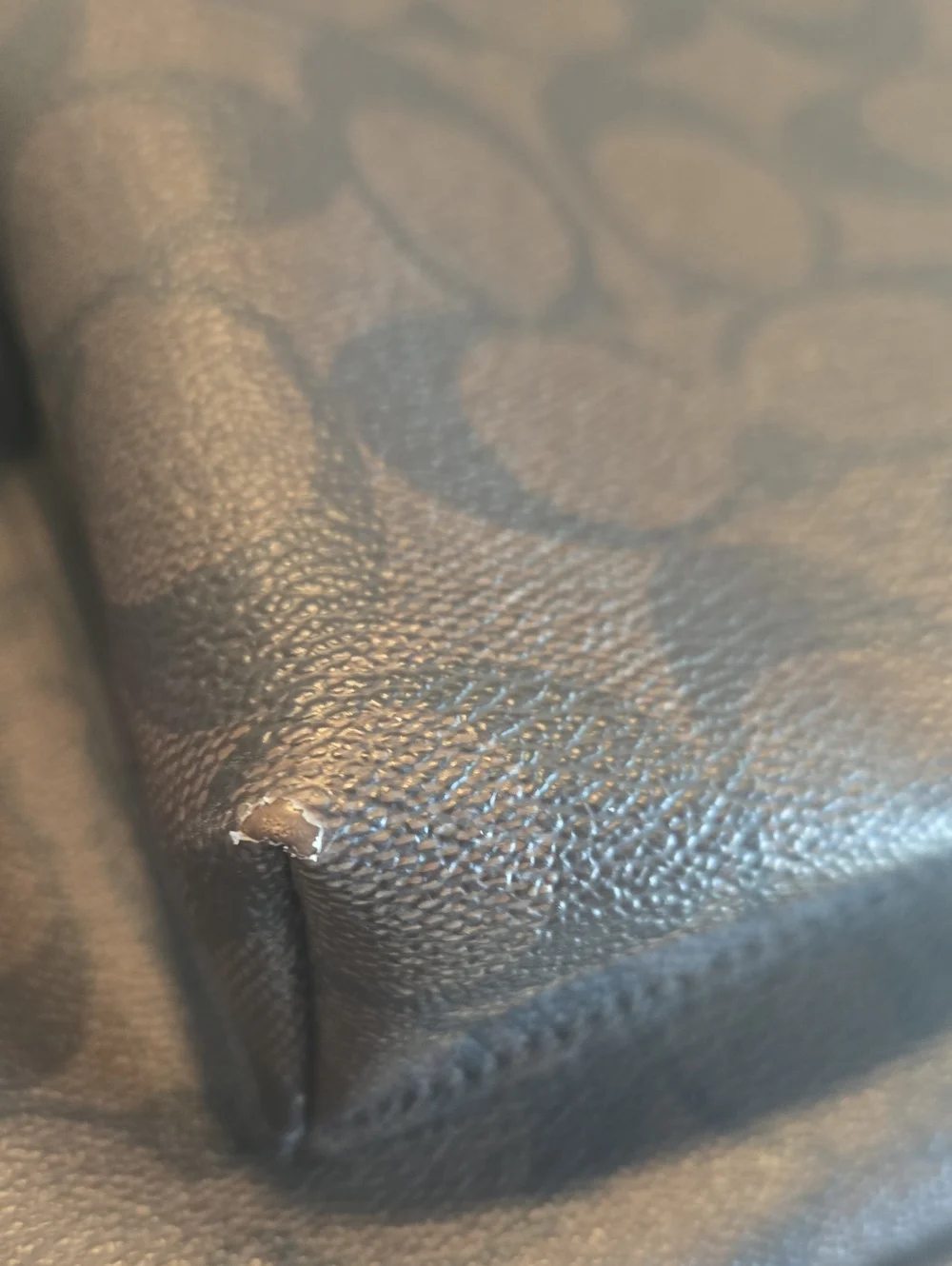 EUC Coach Signature Charley Small Leather Multi/Brown Backpack